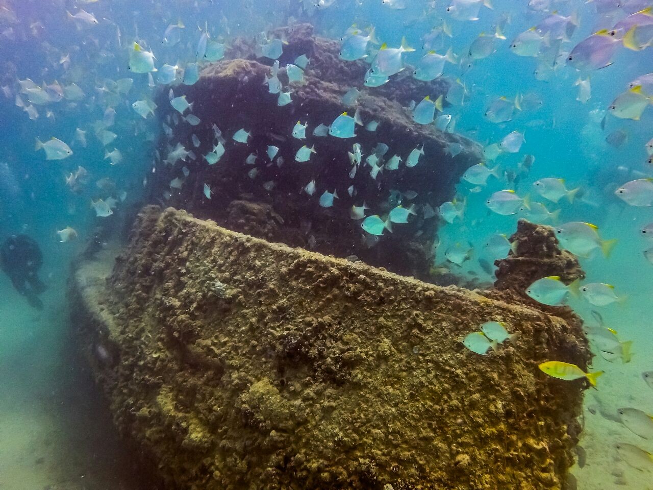 Underwater Clean-Up Dive Trip 9th June 2018