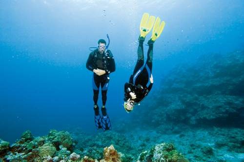 PADI Junior Open Water (Elearning Version)