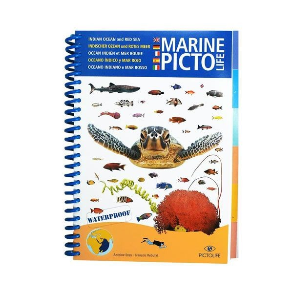 aspekt Rodet Legepladsudstyr Pictolife Fish Id Guide Book for Red Sea and Indian Ocean - Books and  Education