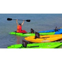 Eastern Mangroves Kayaking & Clean Up Tour
