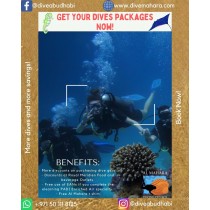 10 dives packages