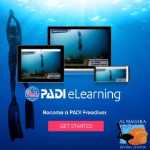PADI Free Diving Courses