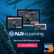 PADI Rescue Diver Course (with eLearning)