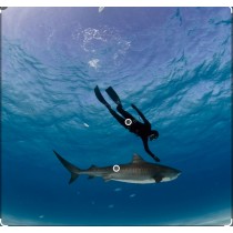 Freediving Trip boat Hire