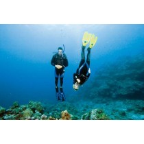 OPEN WATER DIVER COURSE without E-learning 