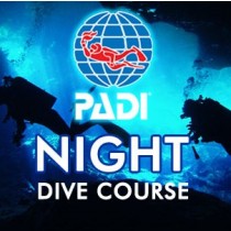 Night Diver - 3 Dives + Torch