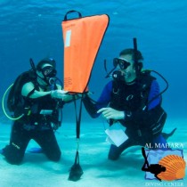 Search and Recovery With 4 Dives