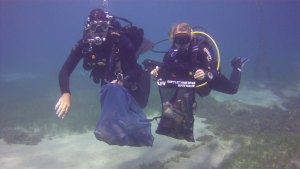 PADI AWARE - Clean Up Event - own gear