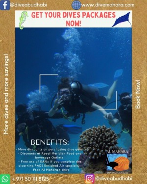 5 dives packages