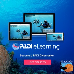 Divemaster (E-Learning)