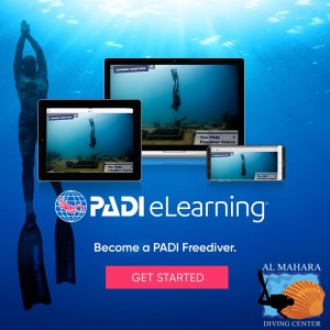 PADI Free Diving Courses