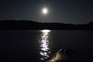 KIDS Full Moon Kayaking Tour 