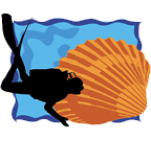 Mussandam Diving Trip 3days & 2nights