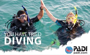 Discover Scuba Diving (Pool + Boat Dive) 