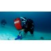 PADI divers Search & Recovery