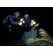 Night Dive with gear hire